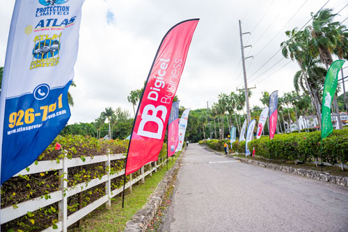 Close up of Digicel Business flag on the side of a road