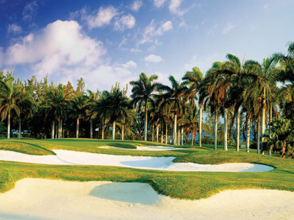 The Ultimate Guide to Moon Golf Palm Beach Gardens: Where Dreams Meet Fairways