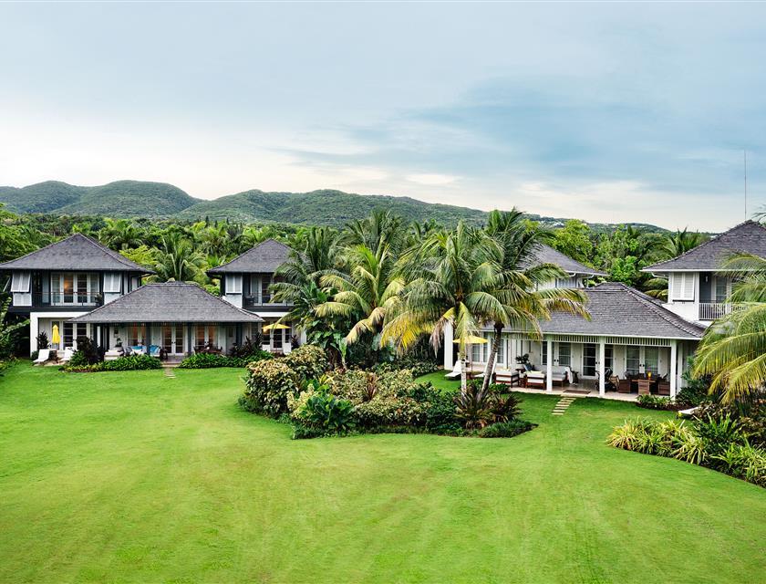 A group of houses with palm trees and a lawn