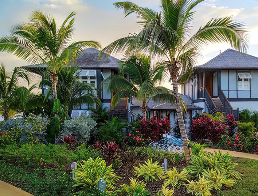 A house with palm trees and bushes