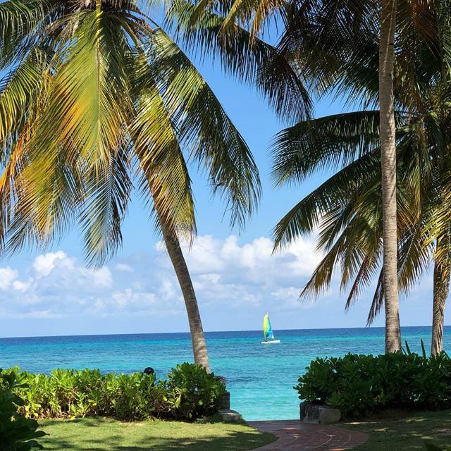 waterfront view and sailboat