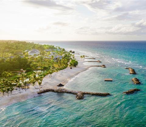 A beach with trees and a body of water